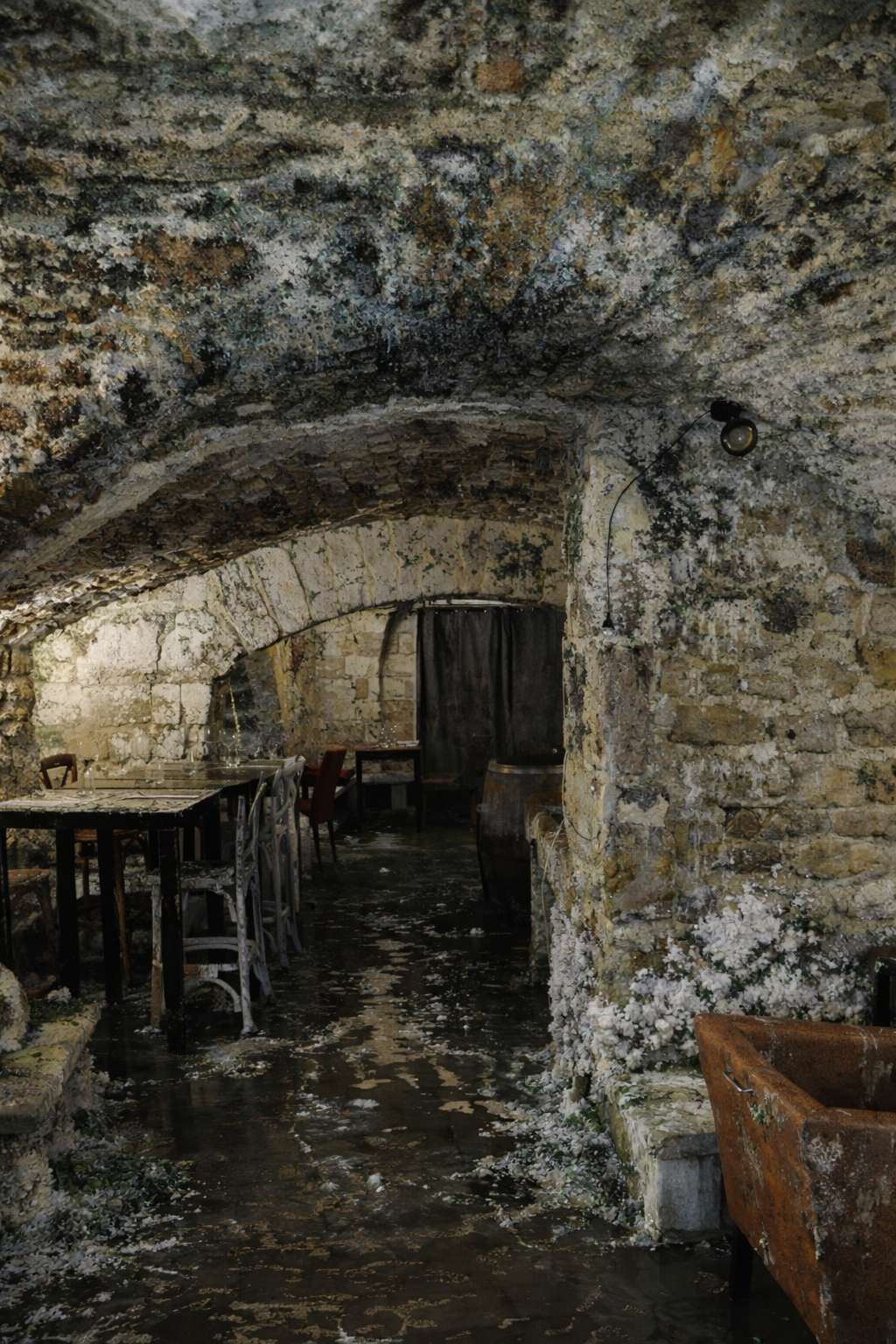 dégât des eaux Hérault traitement moisissures murs humides Protravaux34