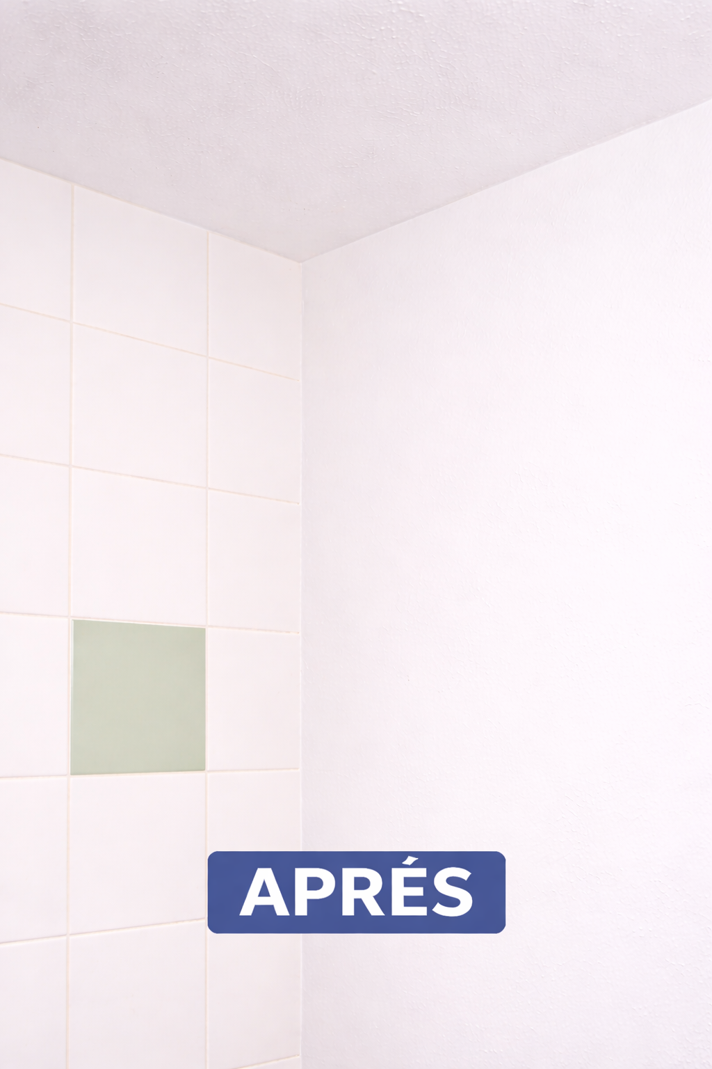 mur et plafond propre apres traitement moisissures montpellier protravaux34