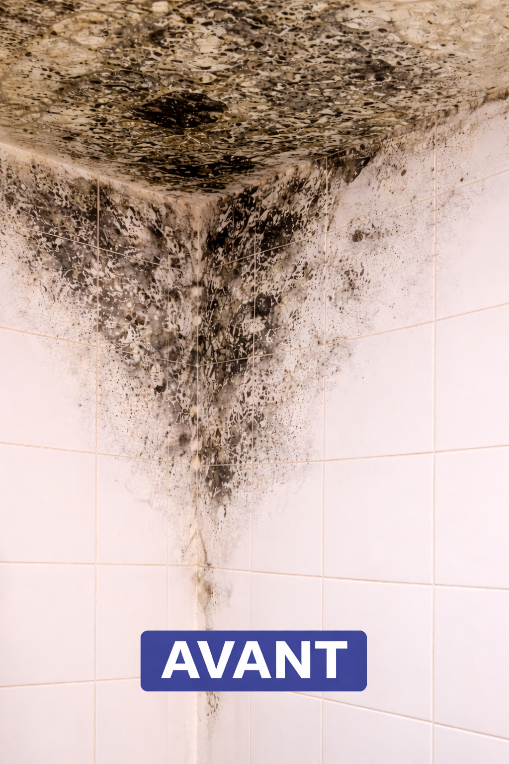 moisissures mur plafond humidite montpellier traitement moisissures protravaux34